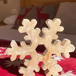 Abete Bianco - Del Natale * Camigliatello Silano