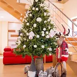 Hotel Abete Bianco - Del Natale Camigliatello Silano