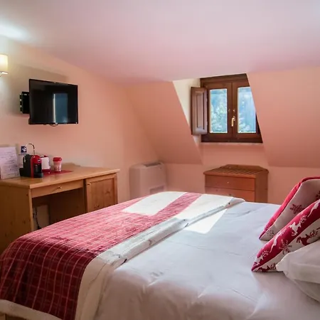 Abete Bianco - Del Natale