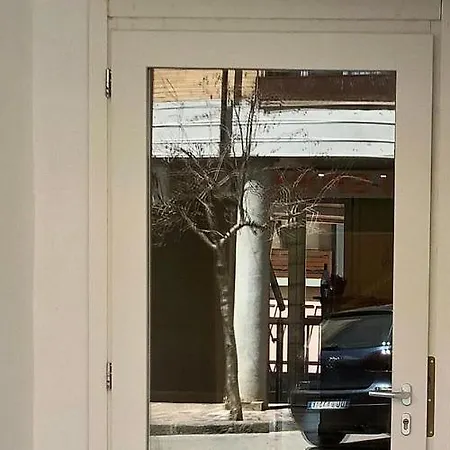 Abete Bianco - Del Natale * Camigliatello Silano